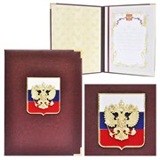 Представительская папка